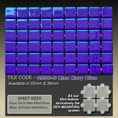 2556-C Lisa Navy Blue   