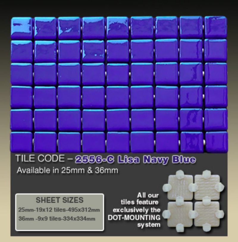 2556-C Lisa Navy Blue   