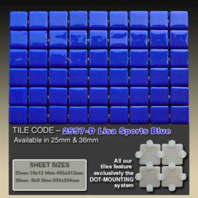 2557-D Lisa Sports Blue   