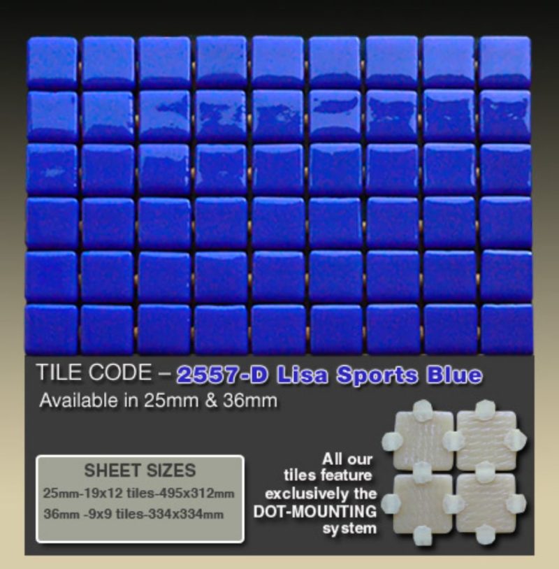 2557-D Lisa Sports Blue   