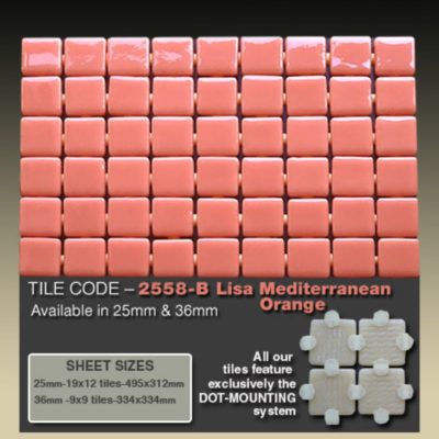 2558-B Lisa Mediterranean Orange   