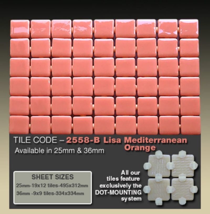 2558-B Lisa Mediterranean Orange   