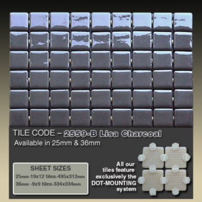 2559-B Lisa Charcoal   