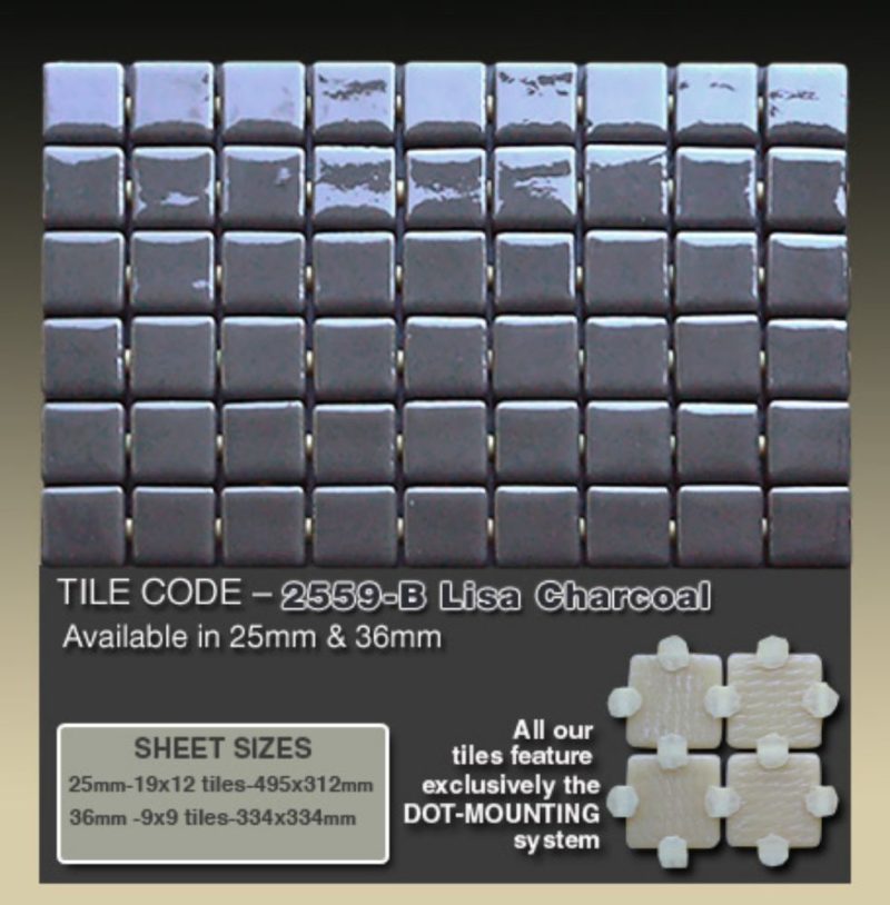 2559-B Lisa Charcoal   
