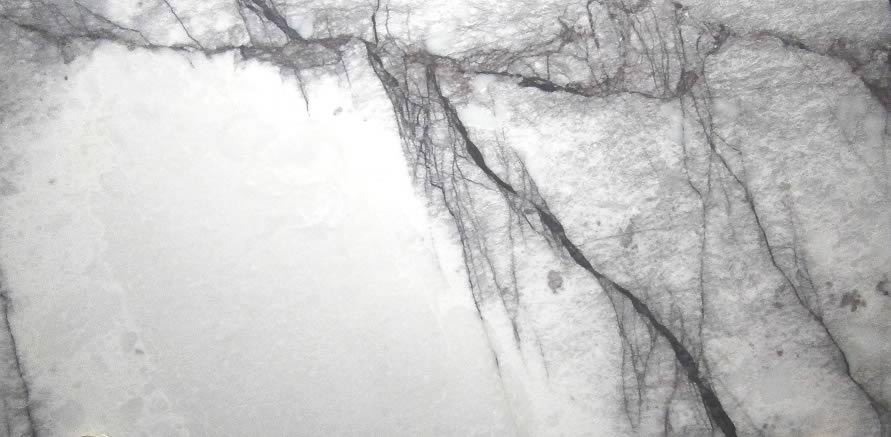 Marble Viola B Marble New York