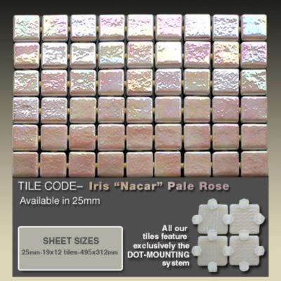 Iris “Nacar” Pale Rose   